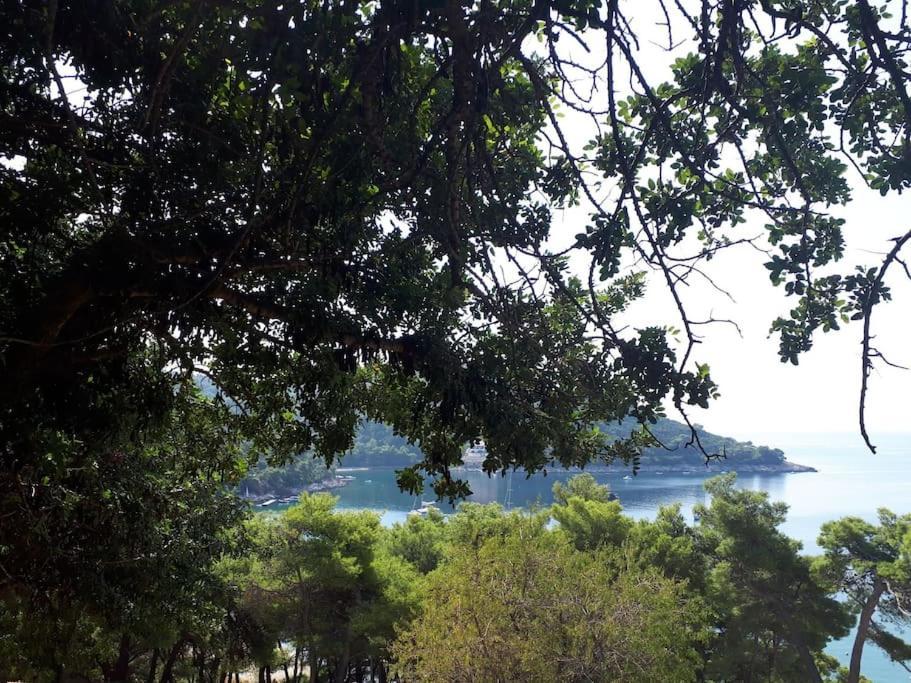 Apartment Kristic - Saplunara, Mljet Babino Polje Екстериор снимка