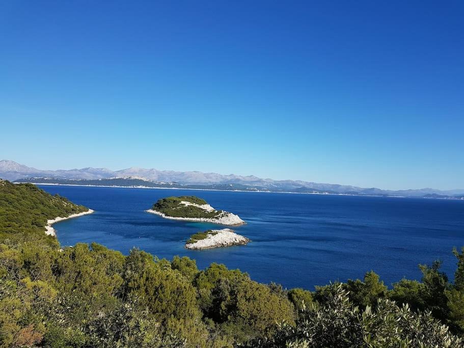 Apartment Kristic - Saplunara, Mljet Babino Polje Екстериор снимка